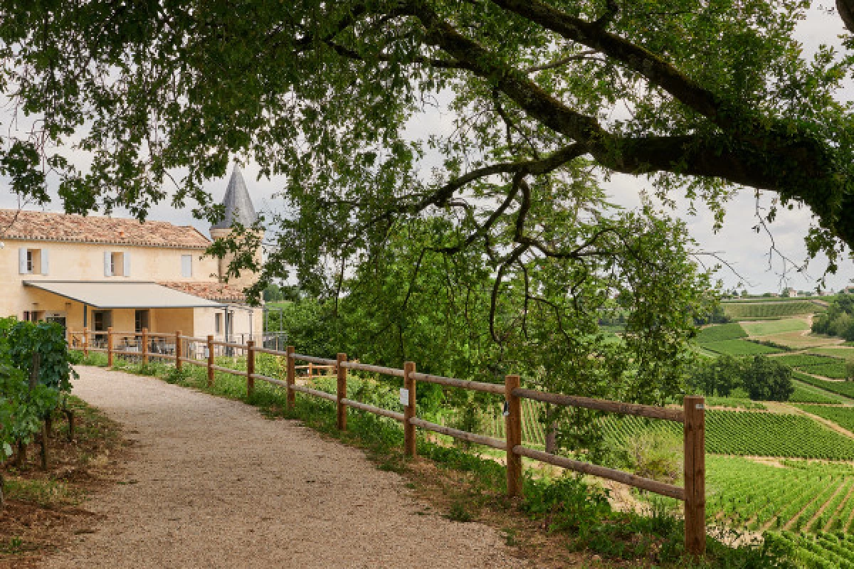 Chateau Tour Baladoz : Saint-Emilion Grand Cru Tasting - 3 wines - Bonjour Fun