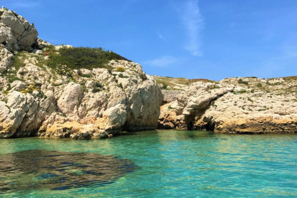 Circuit 2 h découverte de Marseille par la mer Eté comme Hiver - Bonjour Fun