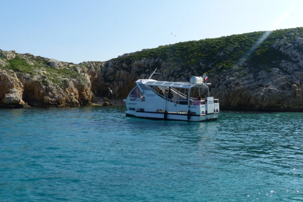 Circuit écologique 2h : la biodiversité des îles de Marseille - Bonjour Fun