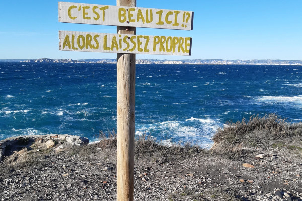 Circuit écologique 2h : la biodiversité des îles de Marseille - Bonjour Fun