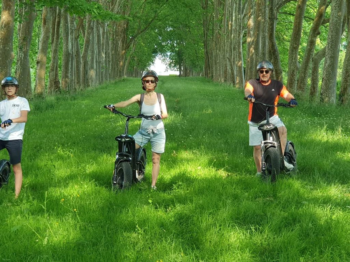 Circuit en trottinette tout-terrain avec dégustation au Château La Louvière - Berceau de l'appelation Pessac-Léognan (1h30) - Bonjour Fun