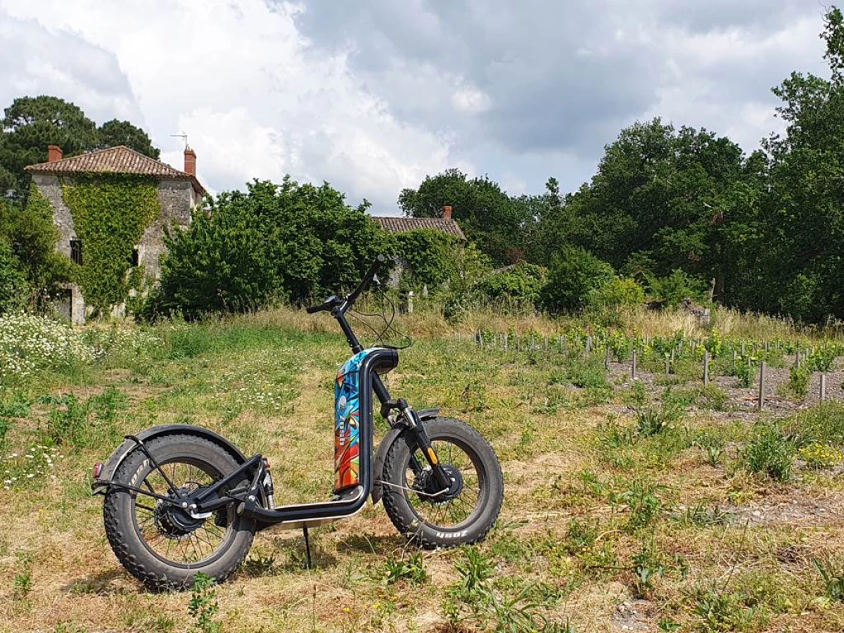 Circuit en trottinette tout-terrain avec dégustation au Château La Louvière - Berceau de l'appelation Pessac-Léognan (1h30) - Bonjour Fun