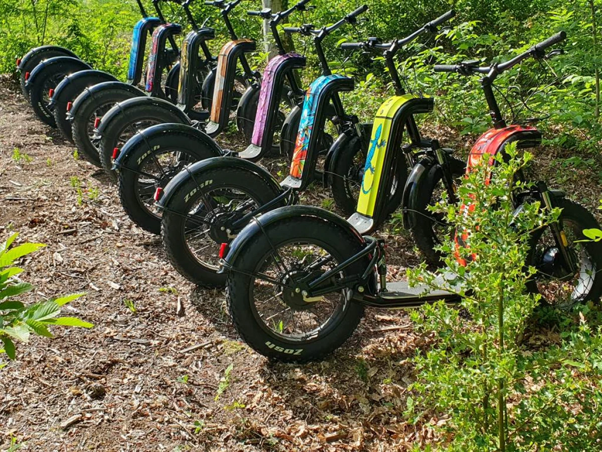 Circuit trottinette tout terrain - "Entre lacs et vignobles de Pessac Léognan" (1h30) - Bonjour Fun