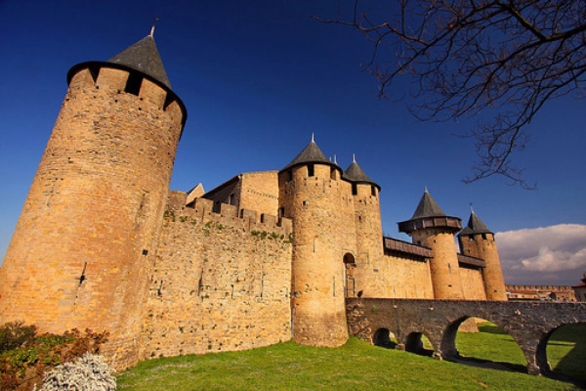 Cité de Carcassonne + Château Comtal - Bonjour Fun