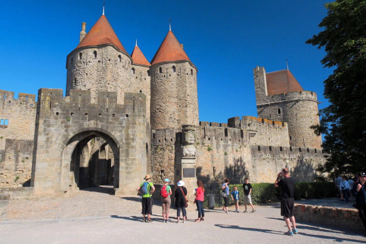 Cité de Carcassonne + Château Comtal - Bonjour Fun