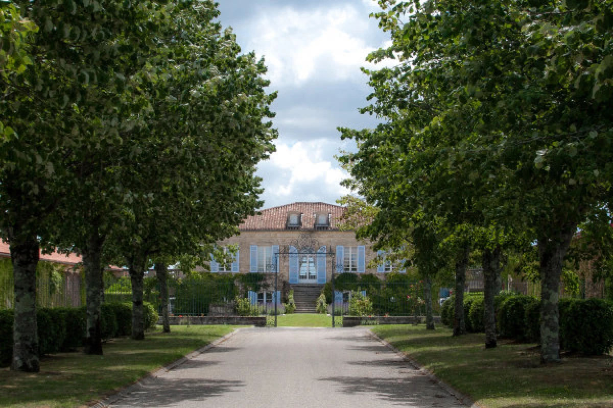 L'essentielle du Château de Camensac - Bonjour Fun