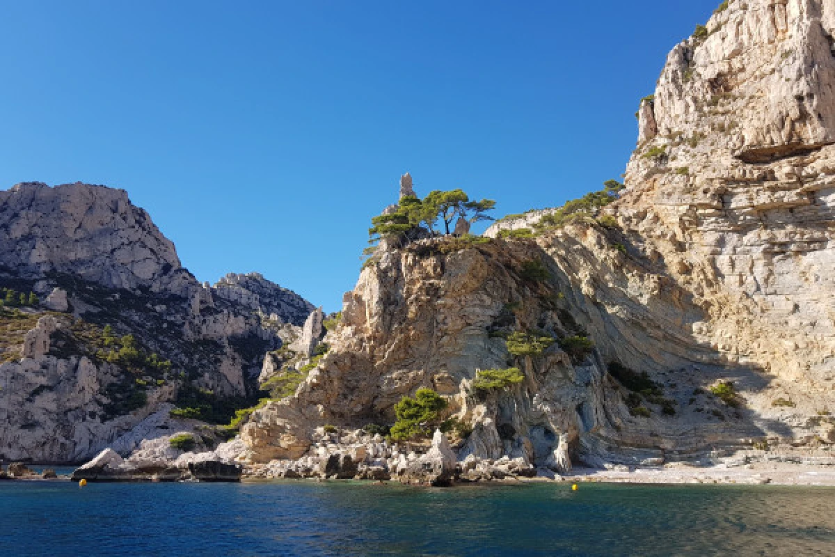 Croisière dans le Parc National des Calanques en journée - Vieux-Port CNTL - Bonjour Fun