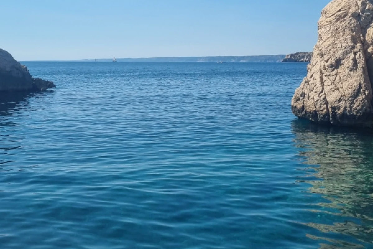 Croisière en après-midi, les Calanques secrètes du Parc marin de la Côte Bleue - MUCEM - Bonjour Fun