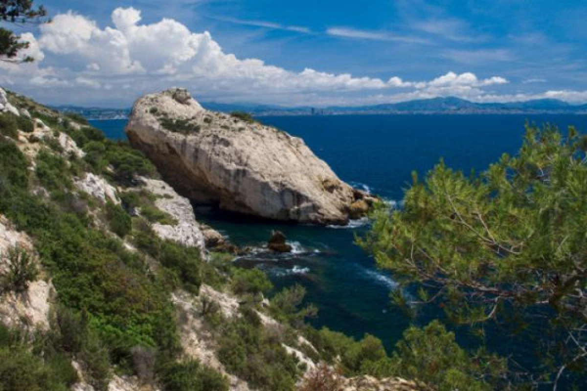 Croisière en après-midi, les Calanques secrètes du Parc marin de la Côte Bleue - Bonjour Fun