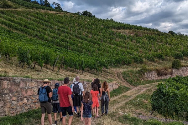 De la vigne au verre [vignoble | cave | dégustation] - Bonjour Fun