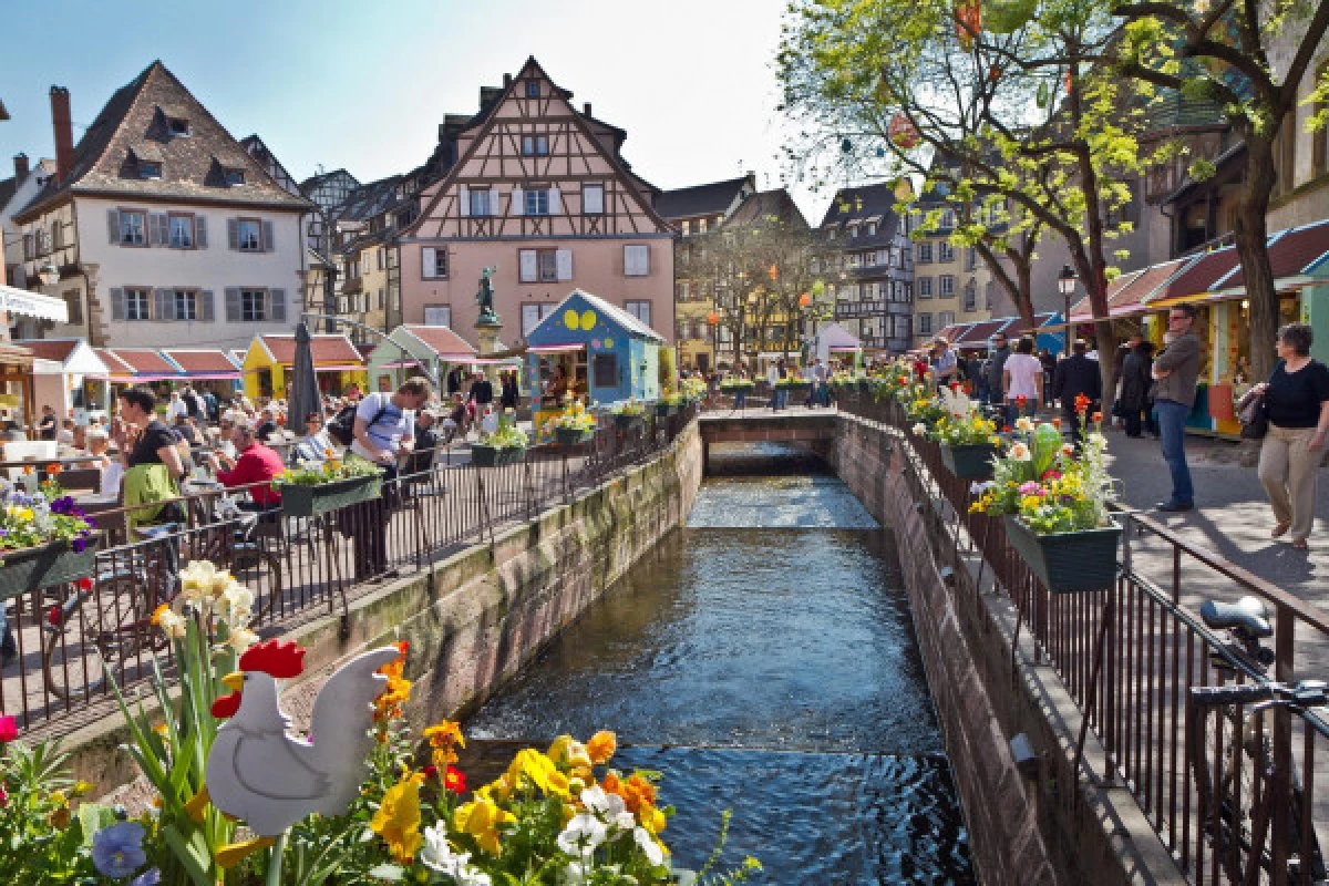 Découverte de Colmar à Segway - Bonjour Fun