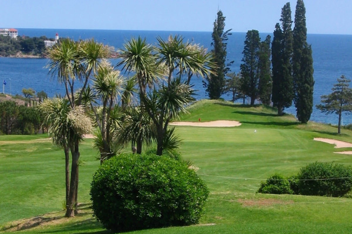 Découvrez le golf en groupe - Bonjour Fun