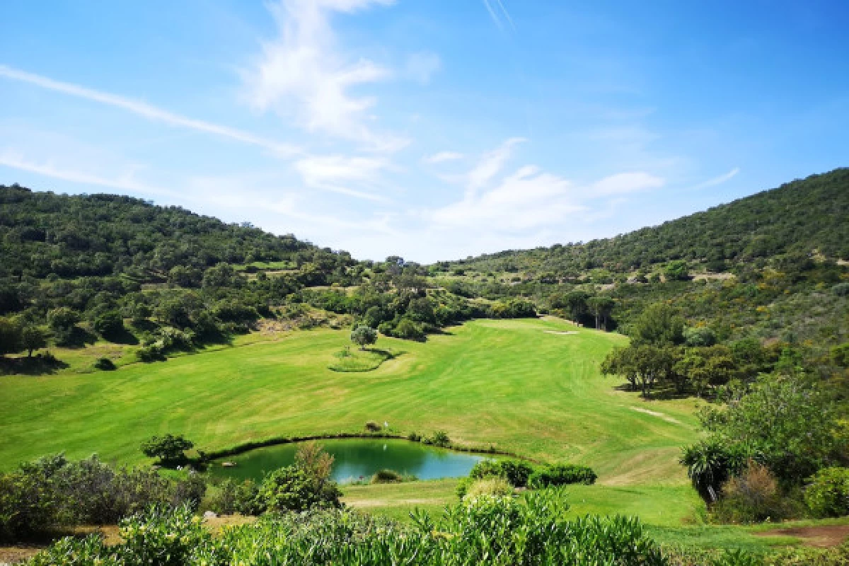 Découvrez le golf en groupe - Bonjour Fun