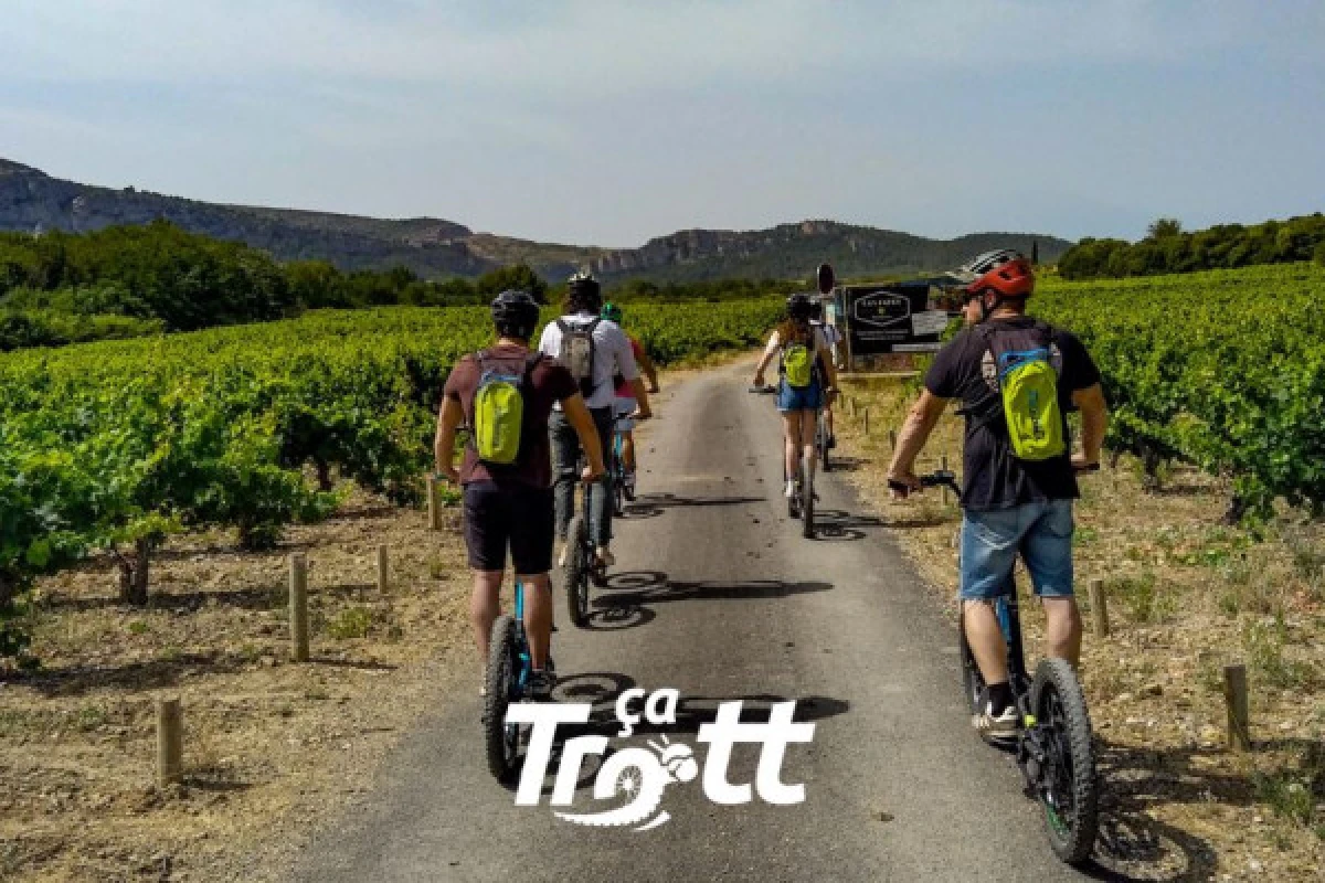 DECOUVREZ LE TERROIR DU COLLIOURE / BANYULS - Bonjour Fun