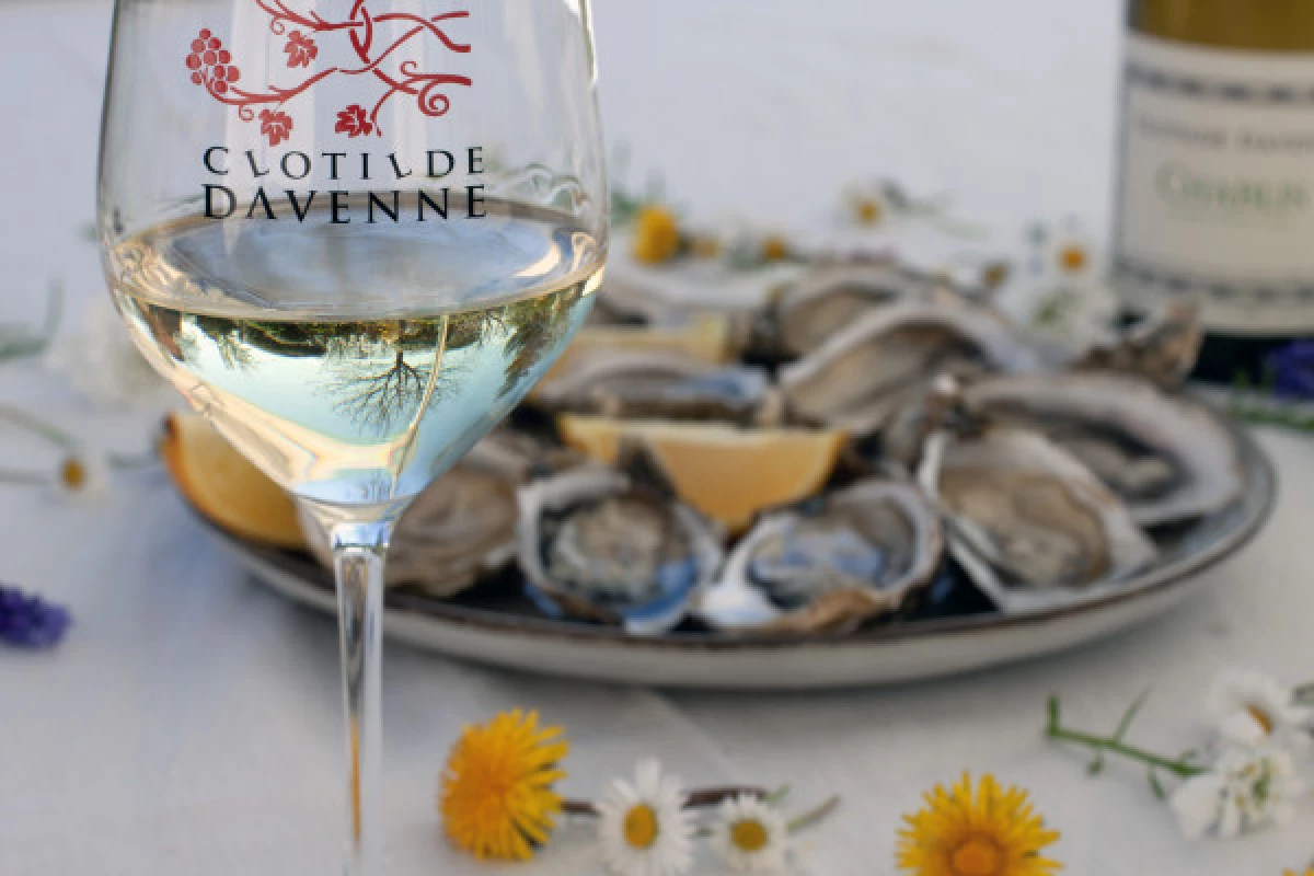 Dégustation accords vins et huîtres à Chablis. - Bonjour Fun