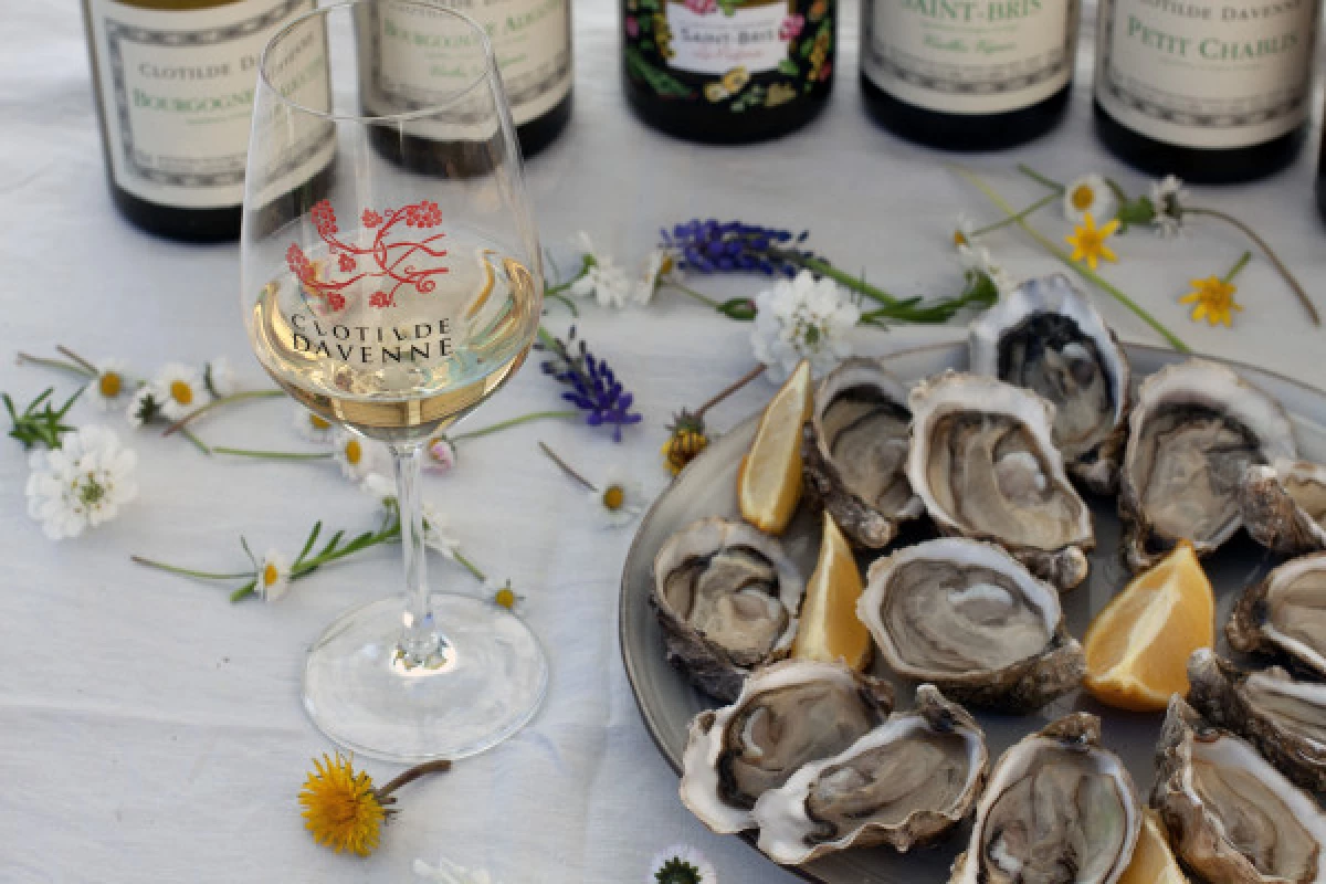 Dégustation accords vins et huîtres à Chablis. - Bonjour Fun