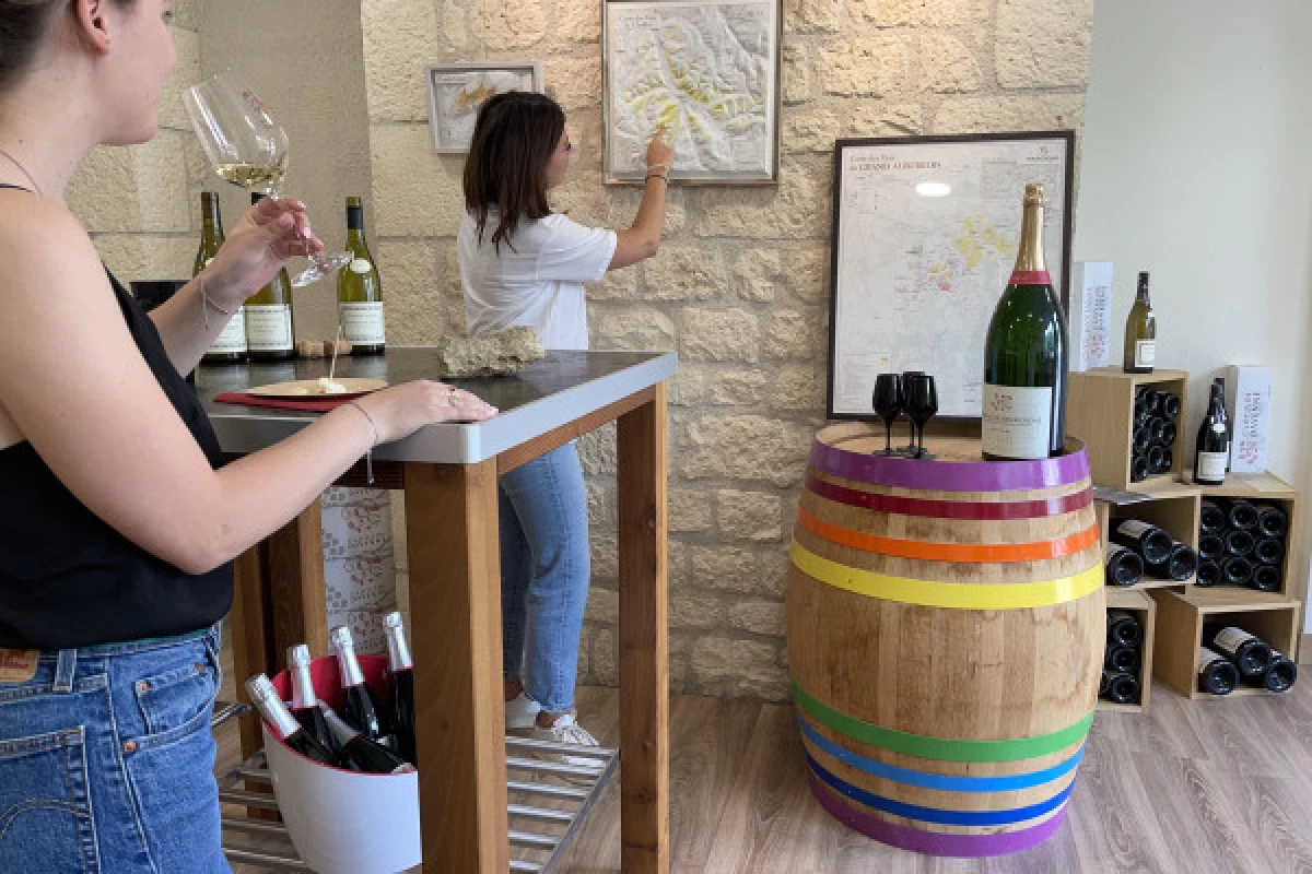 Dégustation accords vins et huîtres à Chablis. - Bonjour Fun