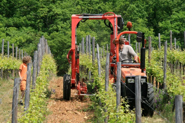 Dégustation biodynamique - Bonjour Fun