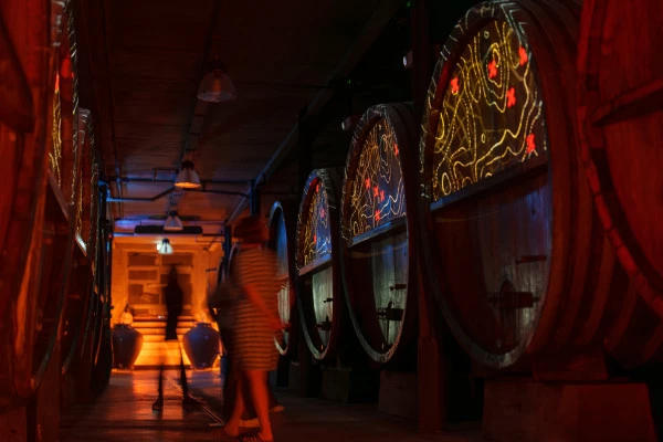 Dégustation de 5 vins et visite de cave immersive - Bonjour Fun