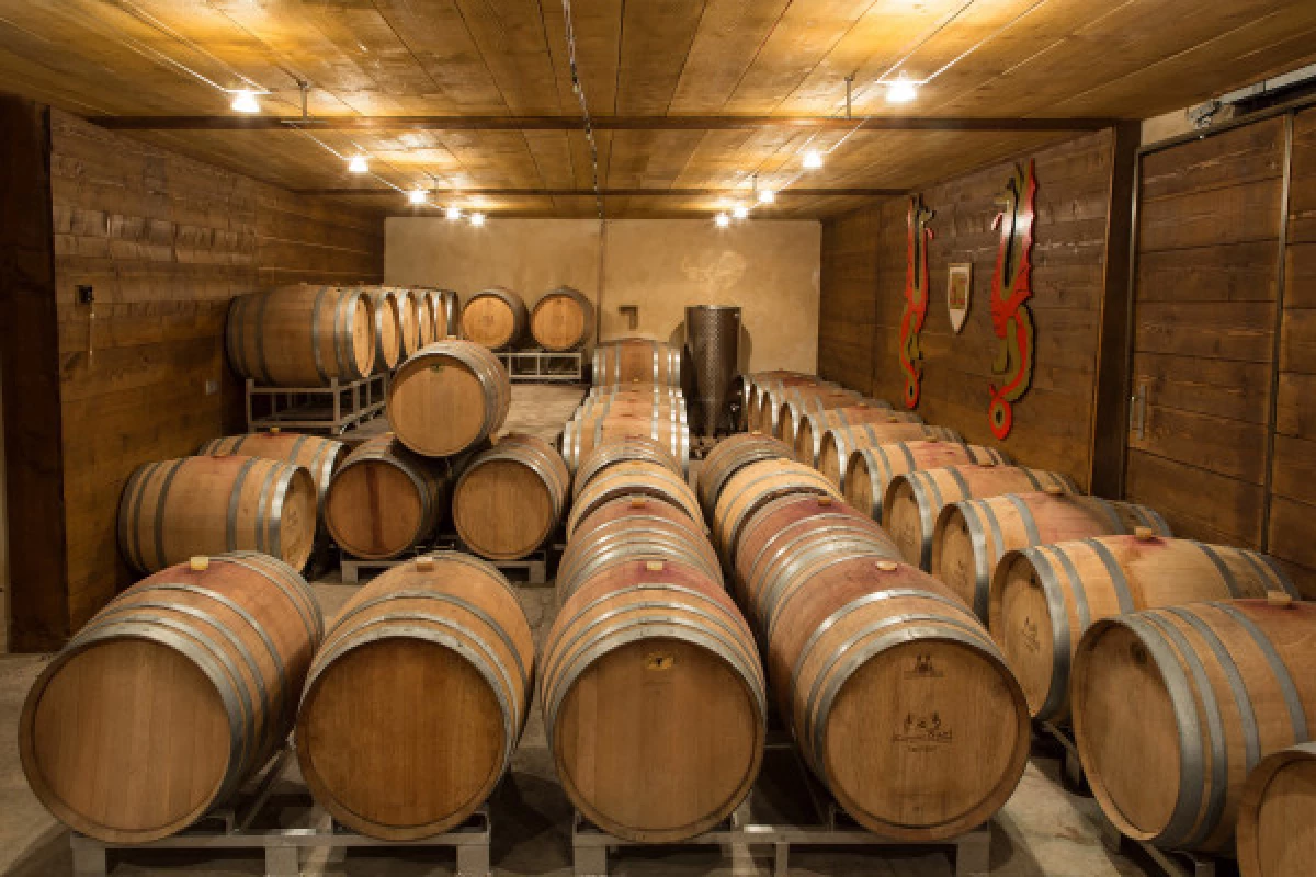 Dégustation de 8 vins et visite de notre vieille cave. - Bonjour Fun