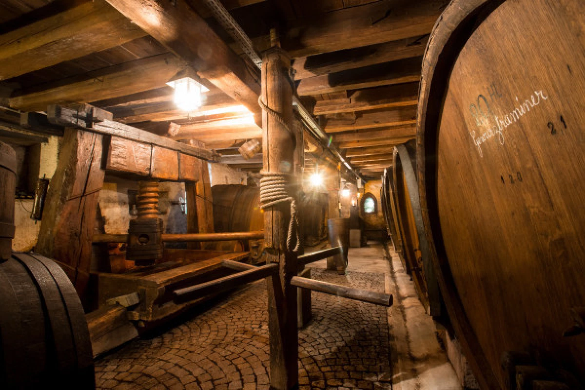 Dégustation de 8 vins et visite de notre vieille cave. - Bonjour Fun