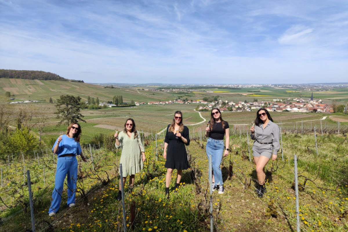 Dégustation de champagne, balade panoramique, vignoble - Bonjour Fun