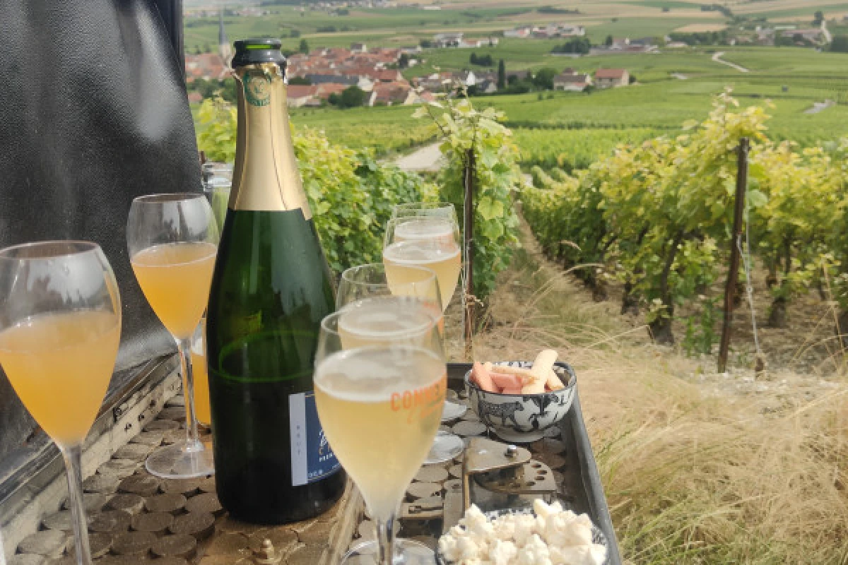 Dégustation de champagne, balade panoramique, vignoble - Bonjour Fun