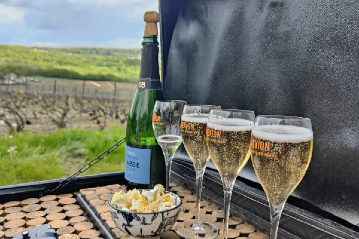 Dégustation de champagne, balade panoramique, vignoble - Bonjour Fun