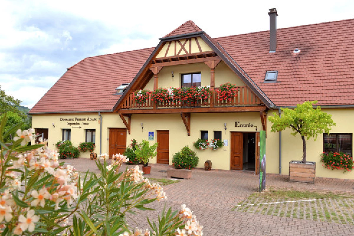 Dégustation Découverte des Vins d'Alsace - Bonjour Fun