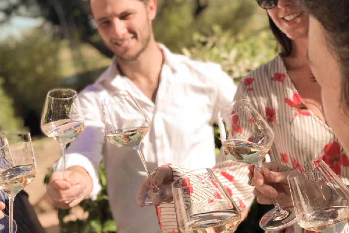 Dégustation Découverte des Vins de Provence - Bonjour Fun