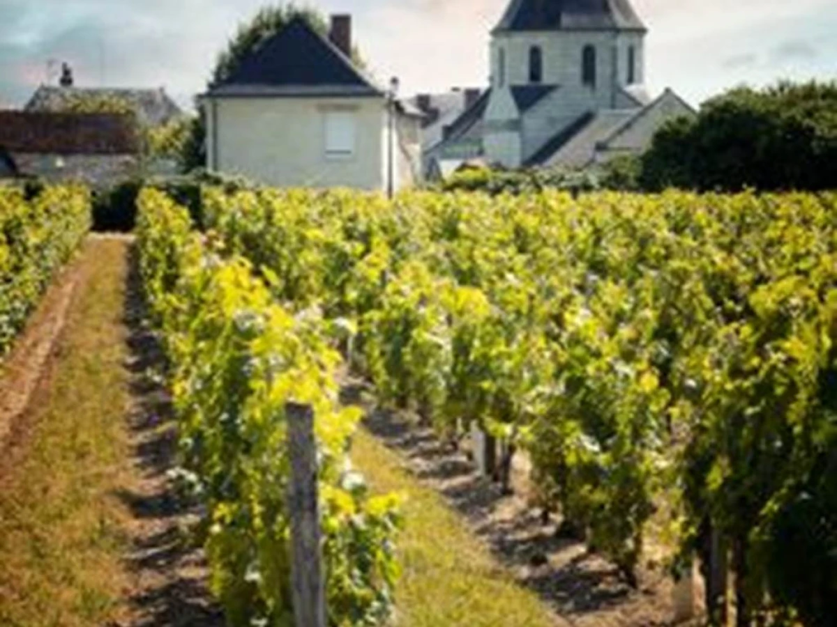 Dégustation en accord - Vins et chocolats - Bonjour Fun