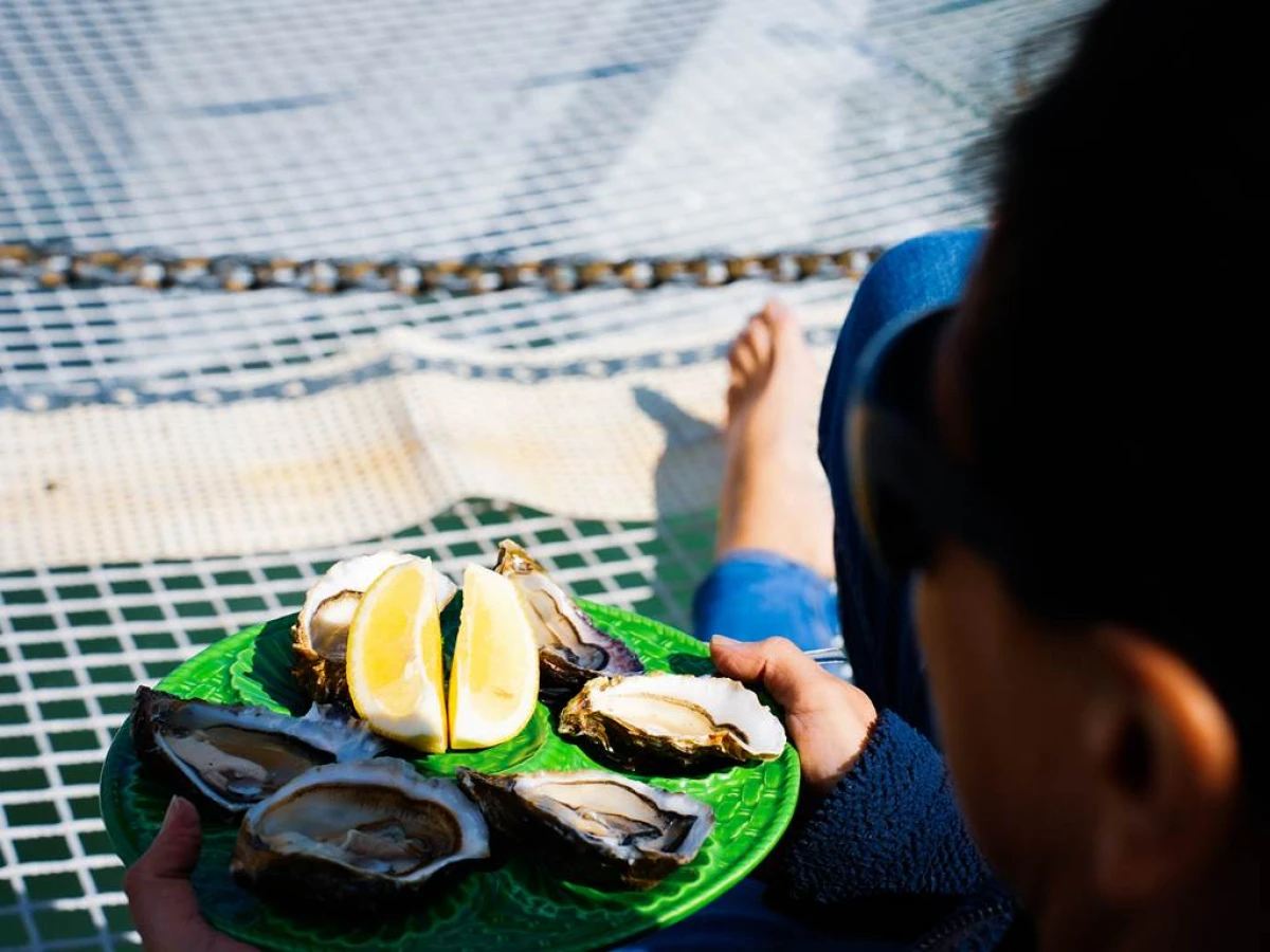 Dégustation en mer - Adulte - Bonjour Fun