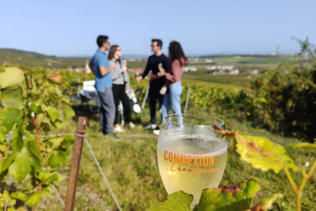 Dégustation Millésimé et balade panoramique, vignoble - Bonjour Fun