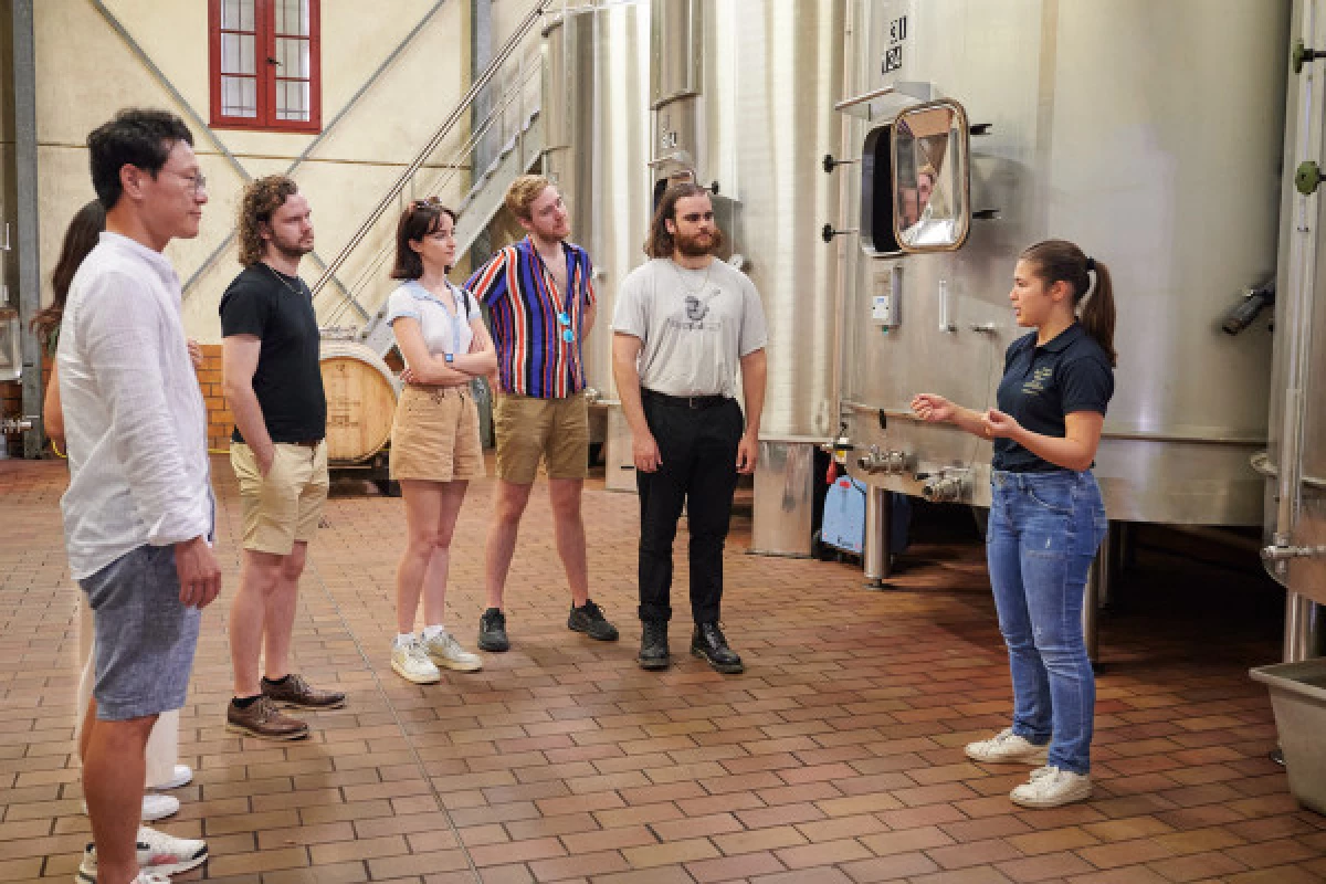 Dégustation verticale Chateau Haut Breton Larigaudière - Bonjour Fun