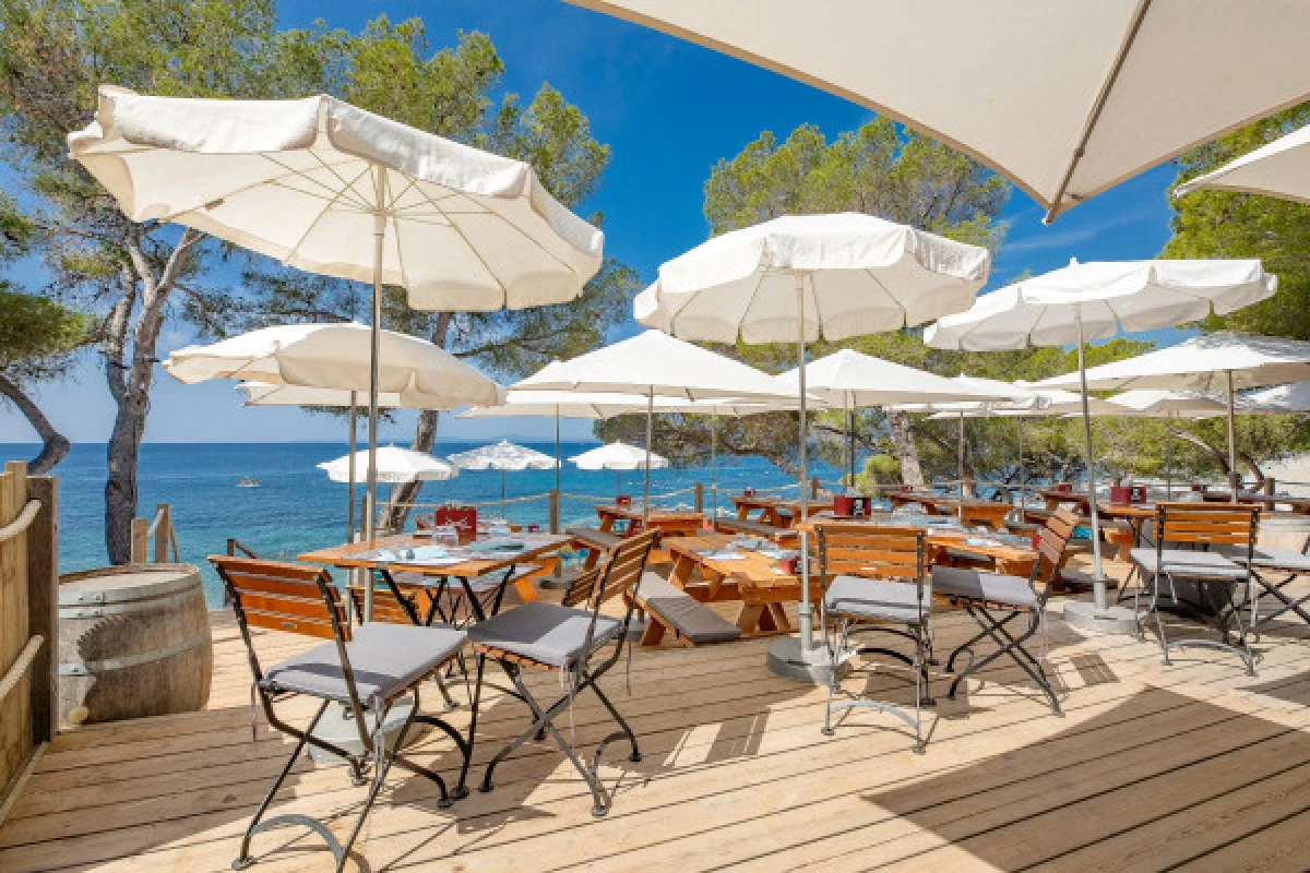 Déjeuner et détente sur la plage face à  l'île d'Or - Spécial CE - Bonjour Fun