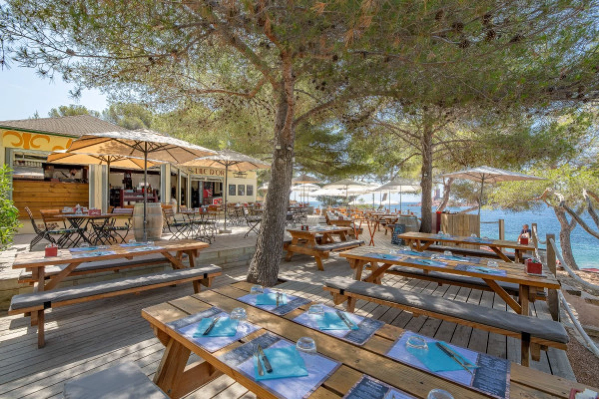 Déjeuner et détente sur la plage face à  l'île d'Or - Spécial CE - Bonjour Fun