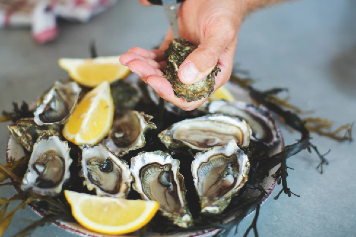 Demi-journée bassin d'Arcachon : dune du Pilat et fruits de mer - Bonjour Fun