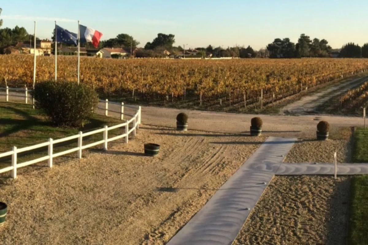 Demi-journée dans le Médoc : 2 châteaux & 6 vins - Bonjour Fun