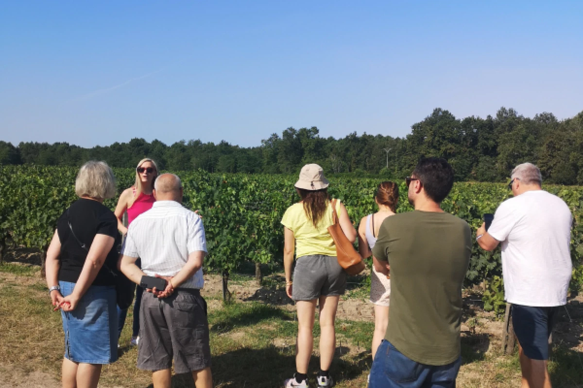 Demi-journée dans le Médoc : 2 châteaux & 6 vins - Bonjour Fun