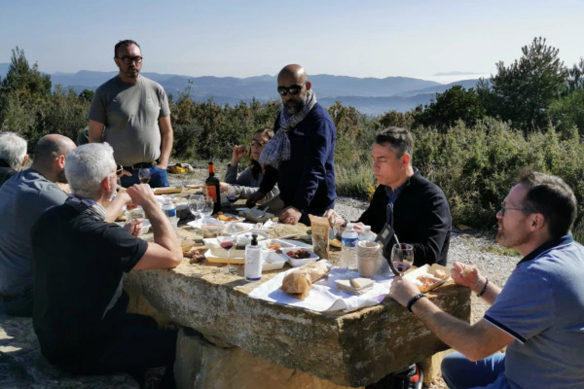 Demi-journée : Wine-Tour des vignobles de Cassis - Bonjour Fun