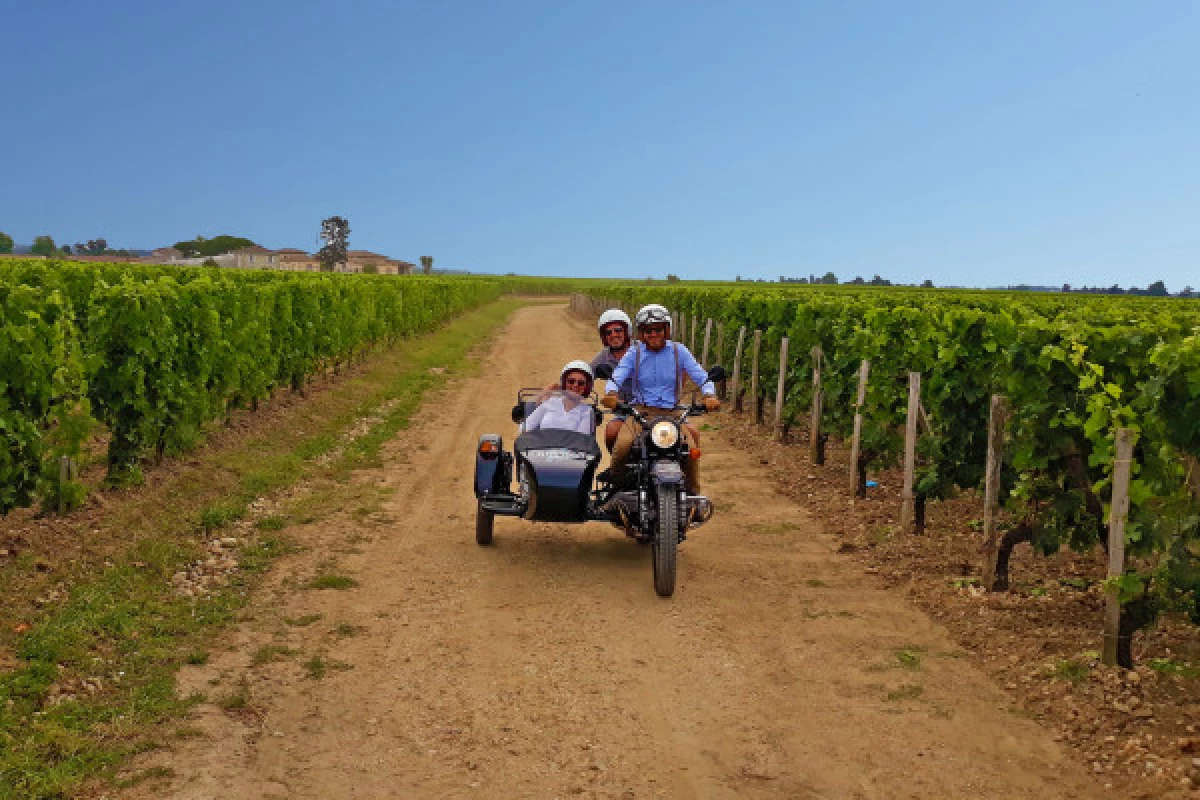 Départ de Saint-Emilion, balade privée dans les vignes et dégustation de vin - Bonjour Fun