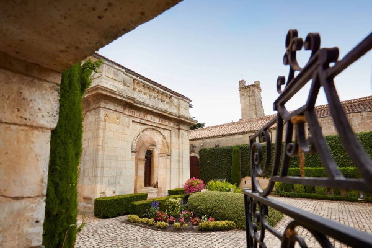 Départ de Saint-Emilion, balade privée dans les vignes et dégustation de vin - Bonjour Fun