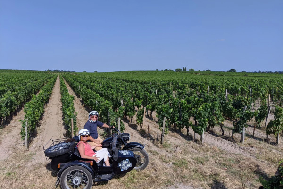 Départ de Saint-Emilion, balade privée dans les vignes et dégustation de vin - Bonjour Fun