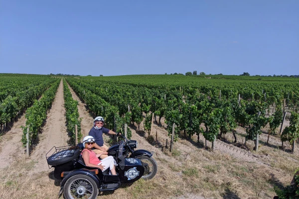 Départ de Saint-Emilion, balade privée dans les vignes et dégustation de vin - Bonjour Fun