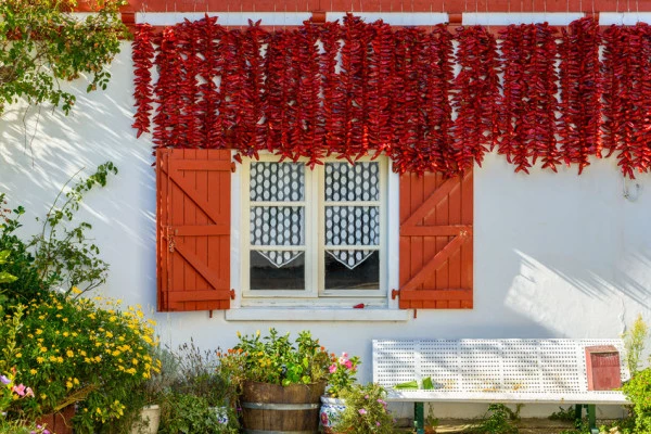 Depuis Bordeaux: tour privé au Pays Basque. - Bonjour Fun