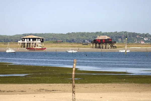 Depuis Bordeaux : tour privé sur le Bassin d'Arcachon - Bonjour Fun