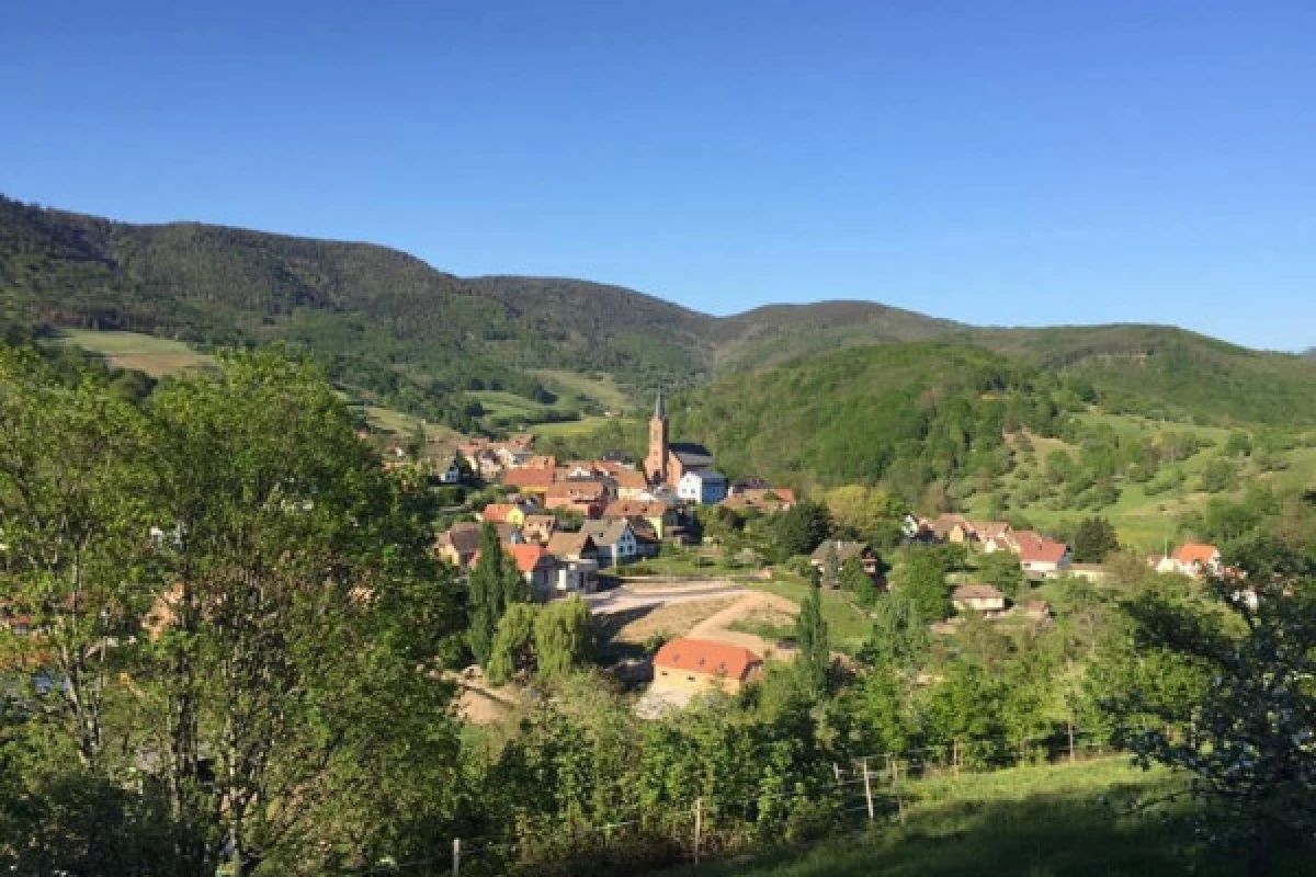 Détente : un voyage vers soi, dans le Val de Villé - Bonjour Fun