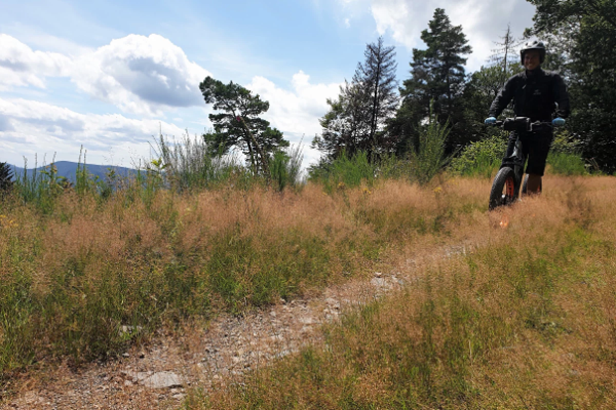 E-Trott Aventure - Parc Alsace Aventure - Bonjour Fun