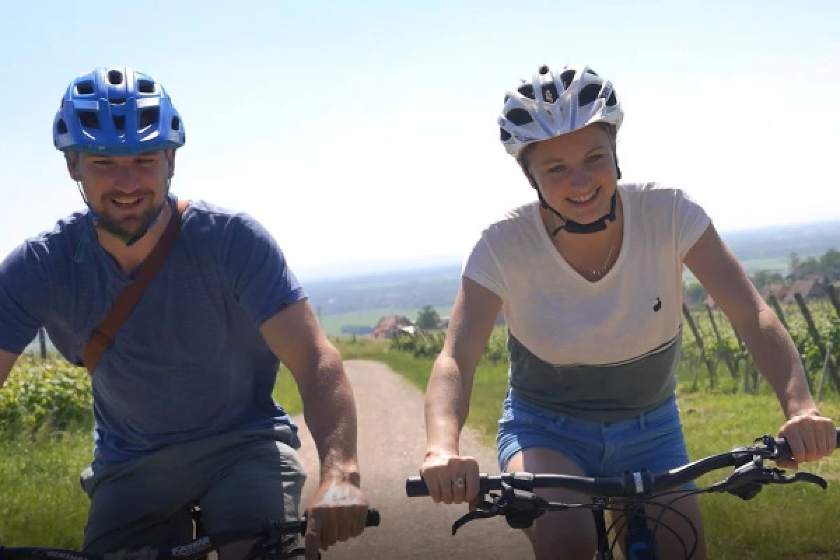 Vélo électrique, Pique-Nique & Vin - Bonjour Fun