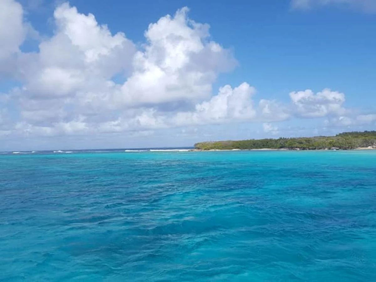 Échappée marine : Catamaran à Voile vers Petite Terre - Bonjour Fun